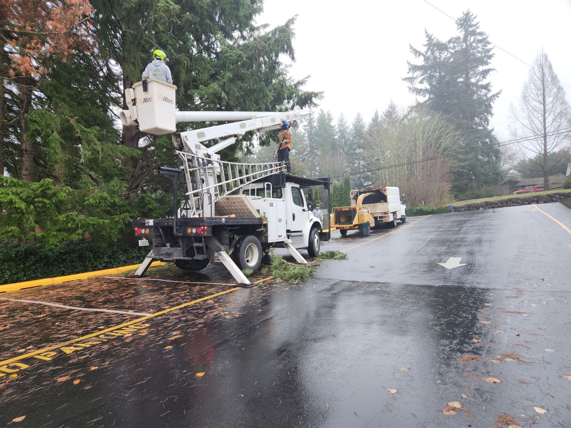 Tree trimming crew working on a wet road with a bucket truck and wood chipper.