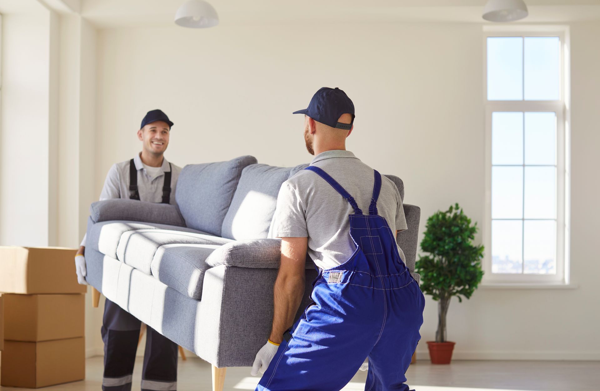 Two movers carrying a gray couch in a bright room with boxes and a potted plant.