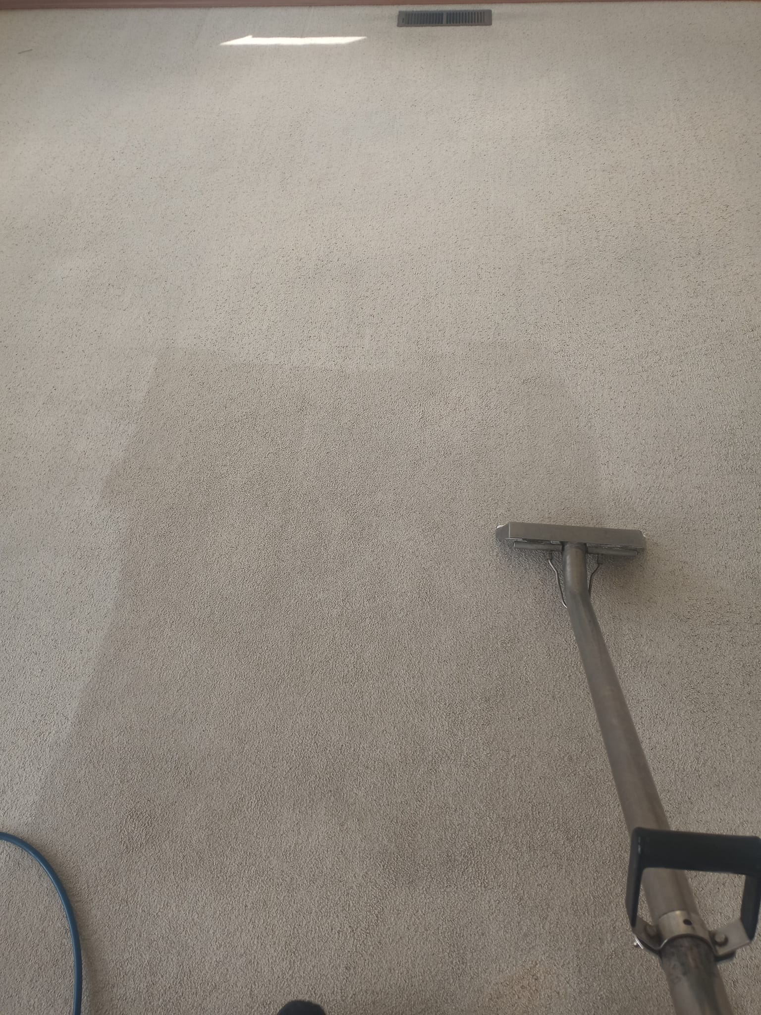 Cleaned Carpet | Chelan, WA | Cascade Carpet Cleaning