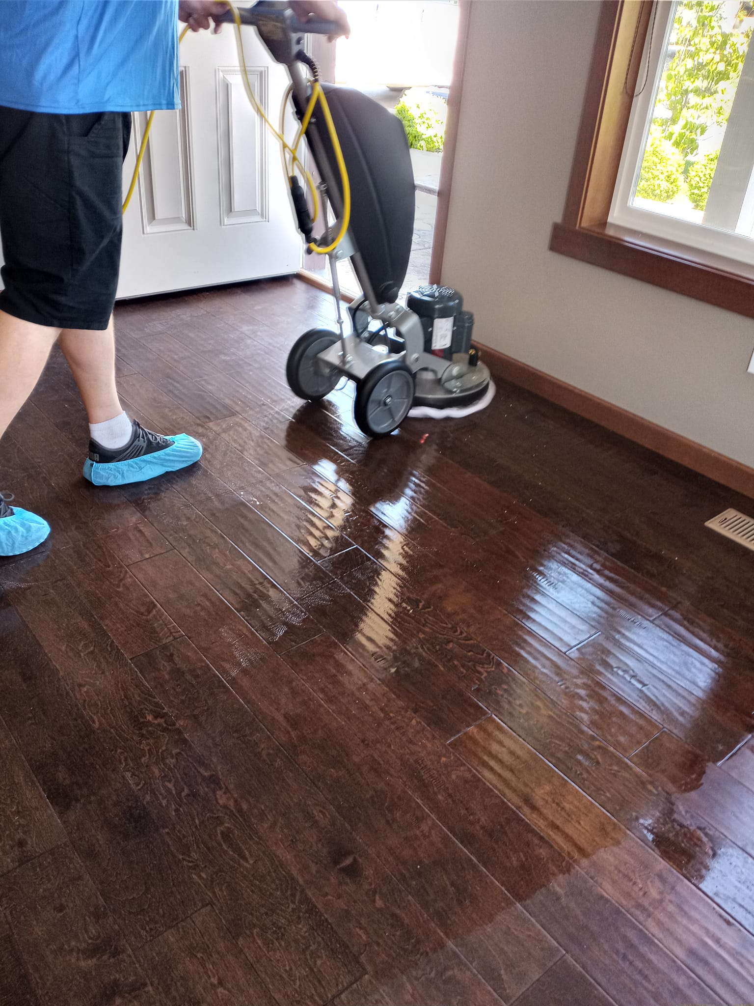 Vacuuming The Floor | Chelan, WA | Cascade Carpet Cleaning