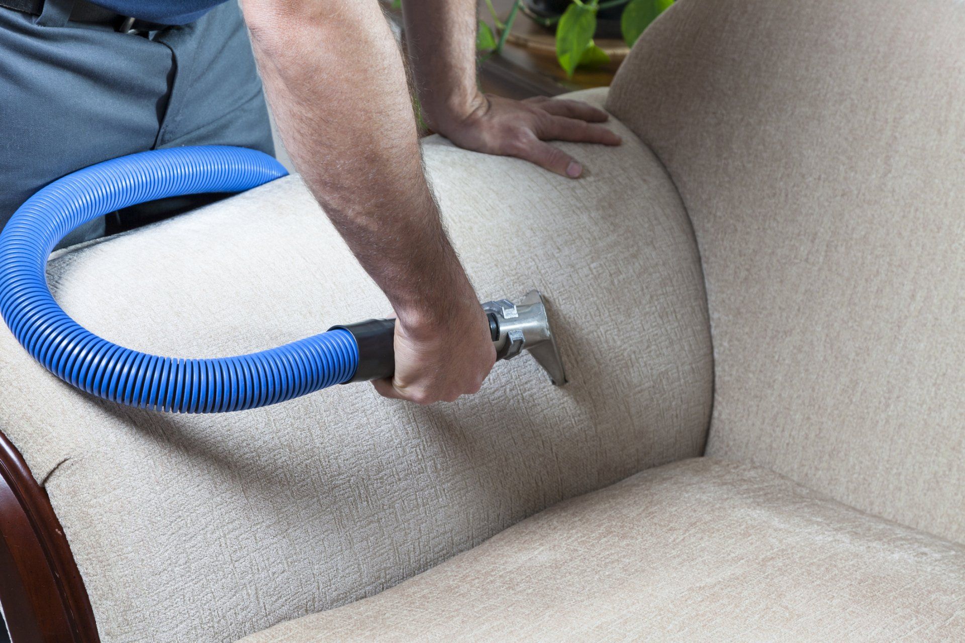 Furniture Cleaning | Chelan, WA | Cascade Carpet Cleaning