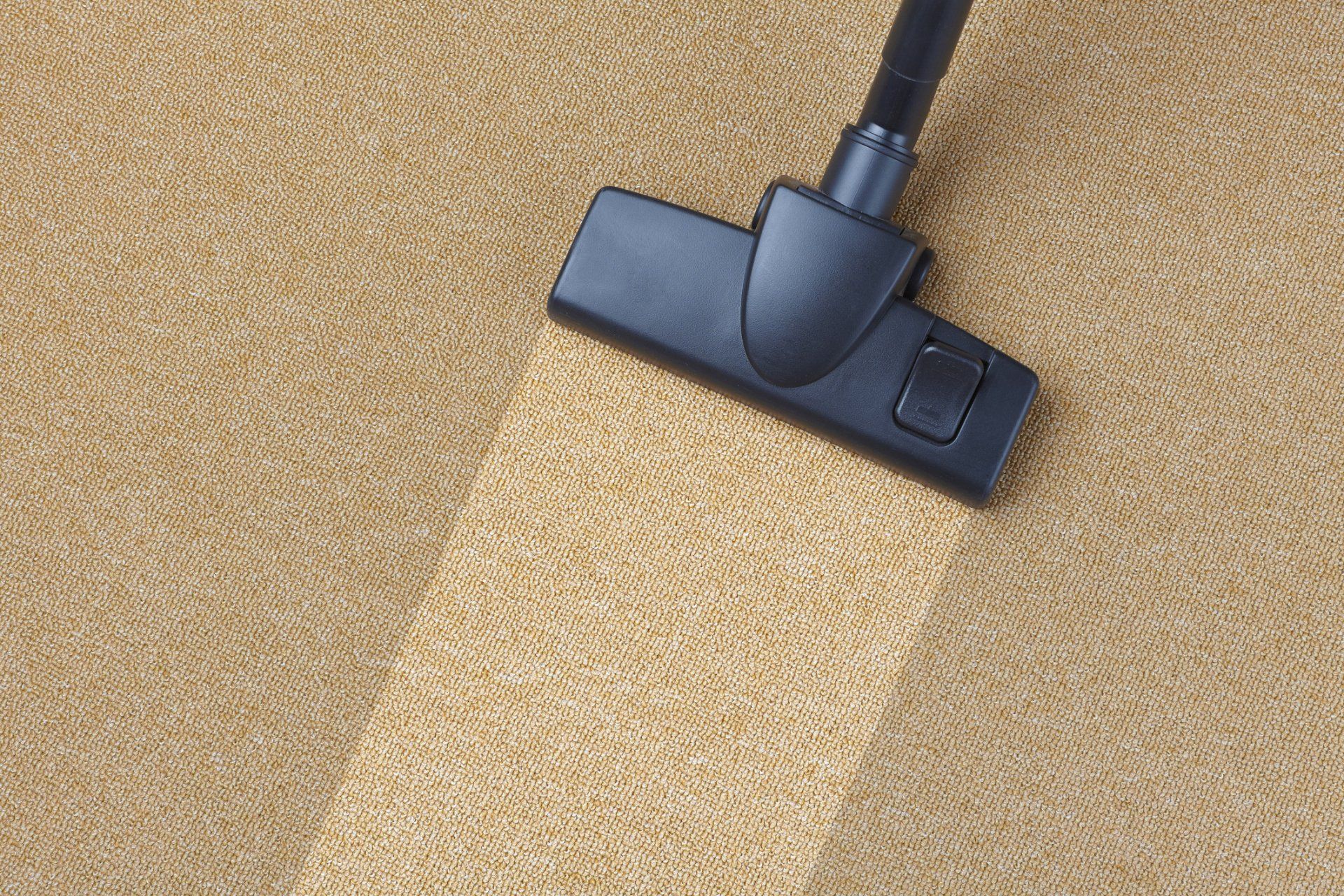Vacuum | Chelan, WA | Cascade Carpet Cleaning