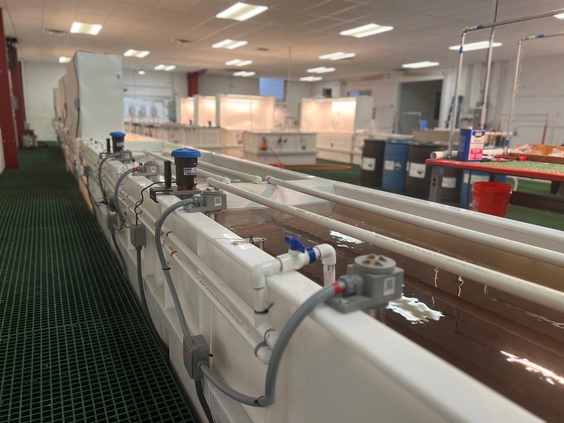 Finishing line with process tanks