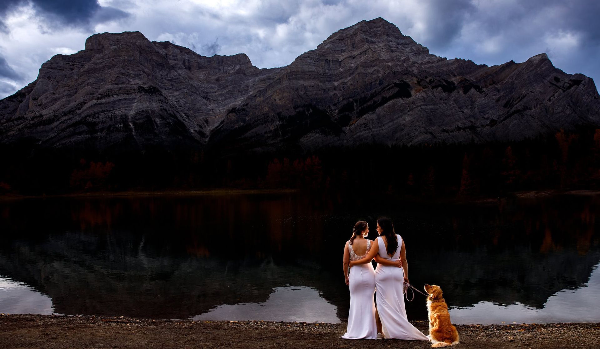 2 brides look at each other while their dog looks up at them