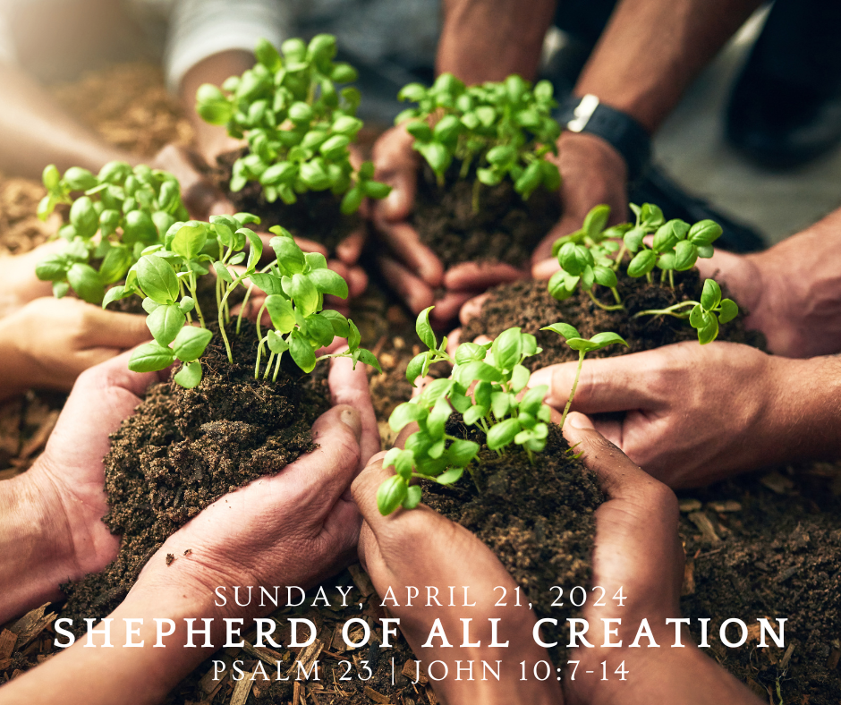 Shepherd of All Creation | Psalm 23, John 10:7-14 | April 21, 2024