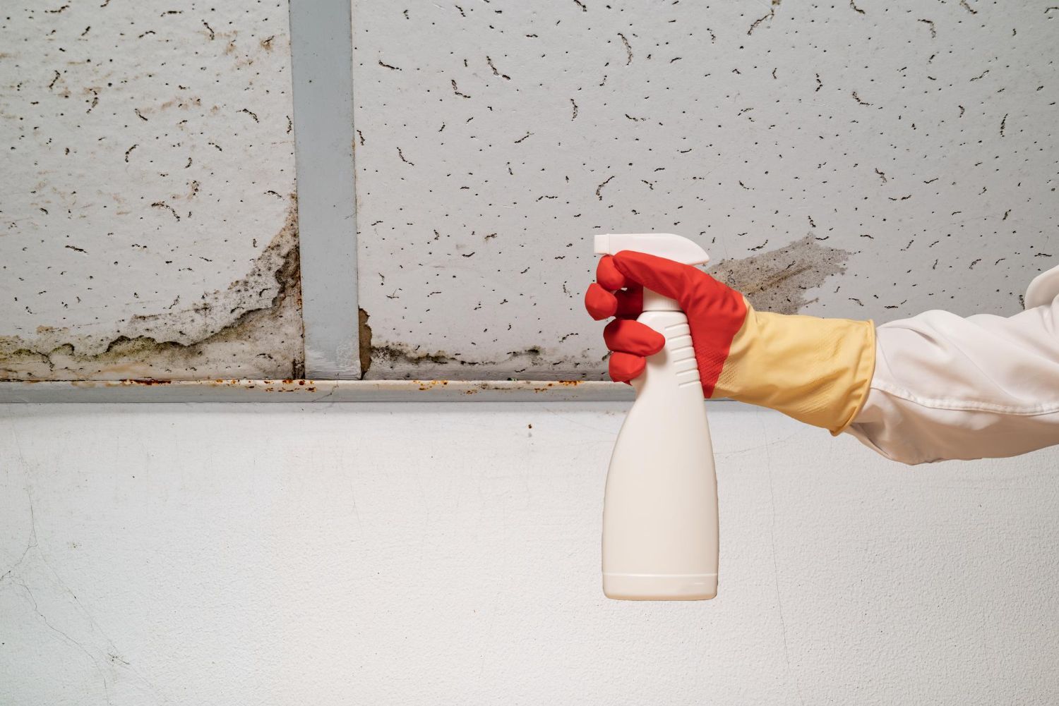 Gloved hand holds a spray bottle against a speckled wall and white ledge