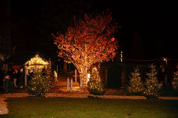 Night garden with a lit gazebo and a tree glowing red-orange, surrounded by shrubs and lawn.