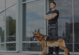 Man standing with a German shepherd outside a glass building