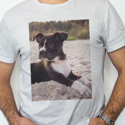 Apparel & Wearable image
