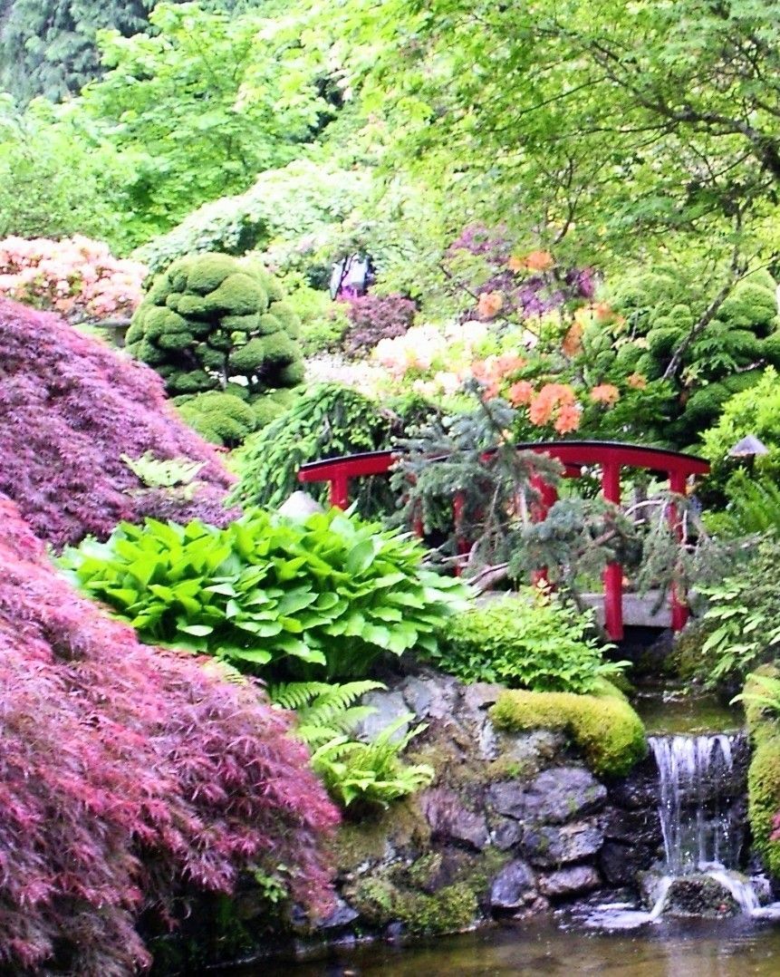 A waterfall in a garden with a red bridge over it