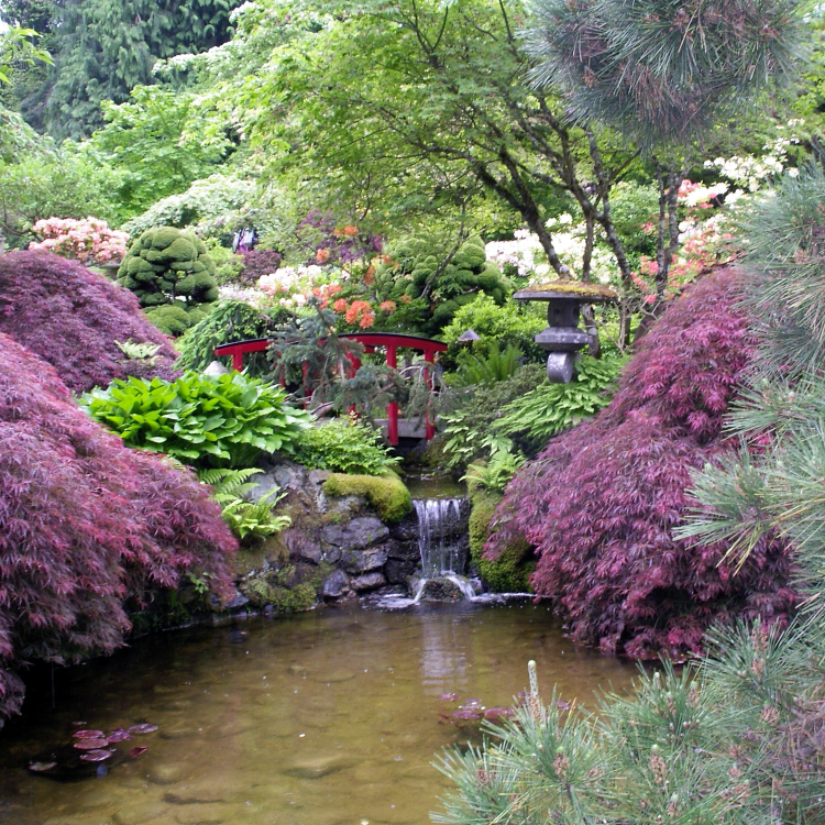 Colorful Garden with Waterfall