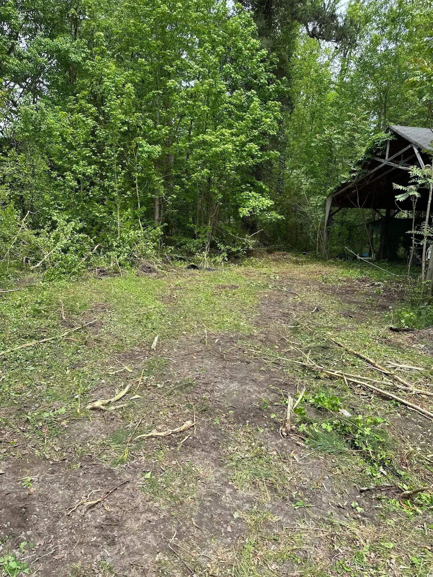 Property after land clearing and brush removal by H&H Outdoor Services in Midlothian VA