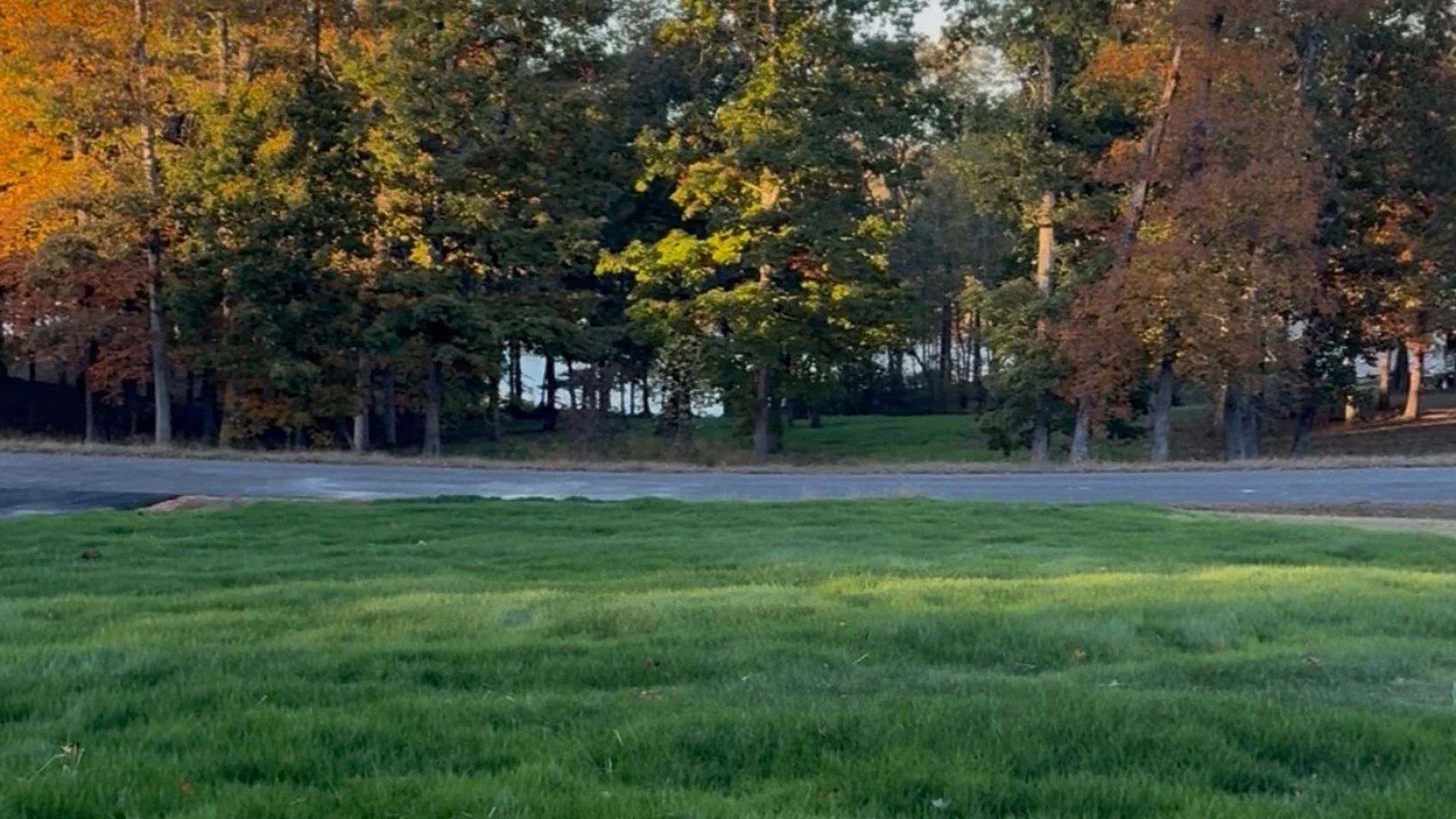 Healthy green lawn after new soil and overseeding