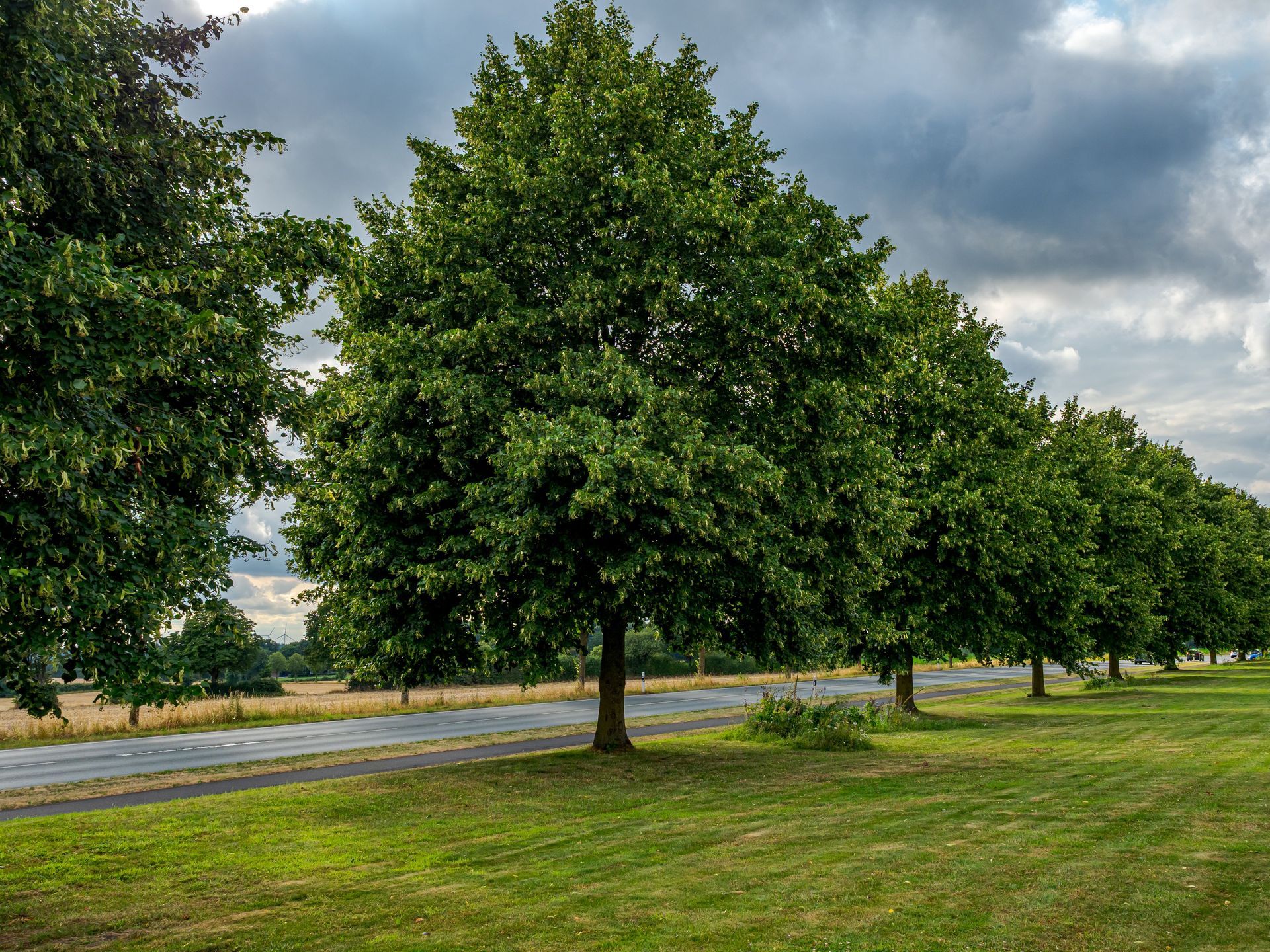 H&H Outdoor Services completing tree removal at a commercial property