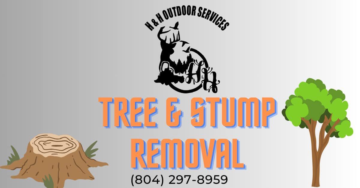 tree removal chesterfield va, stump removal services