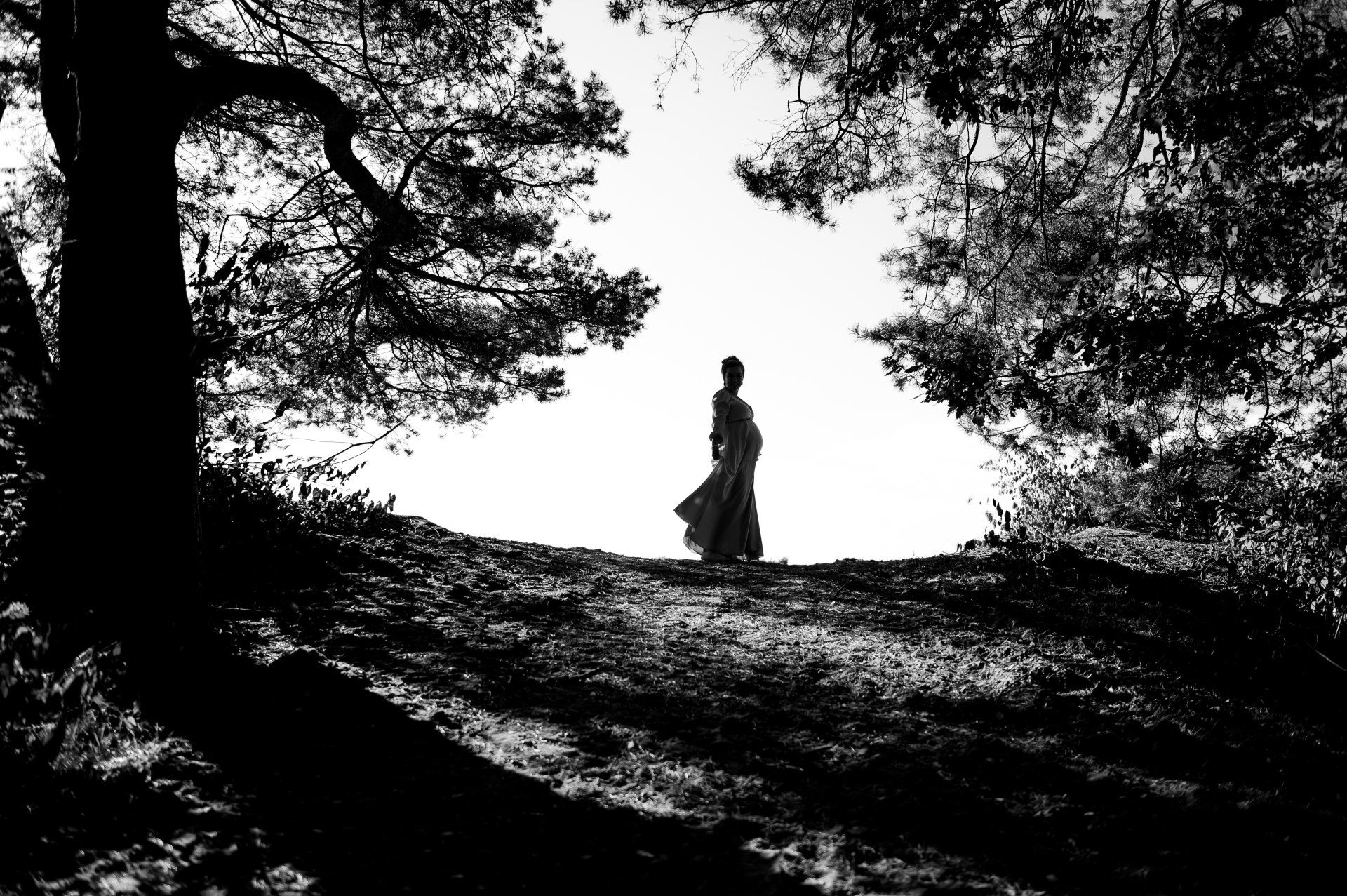 Silhouet van een vrouw op een heuvel, omringd door bomen. Heldere lucht op de achtergrond.