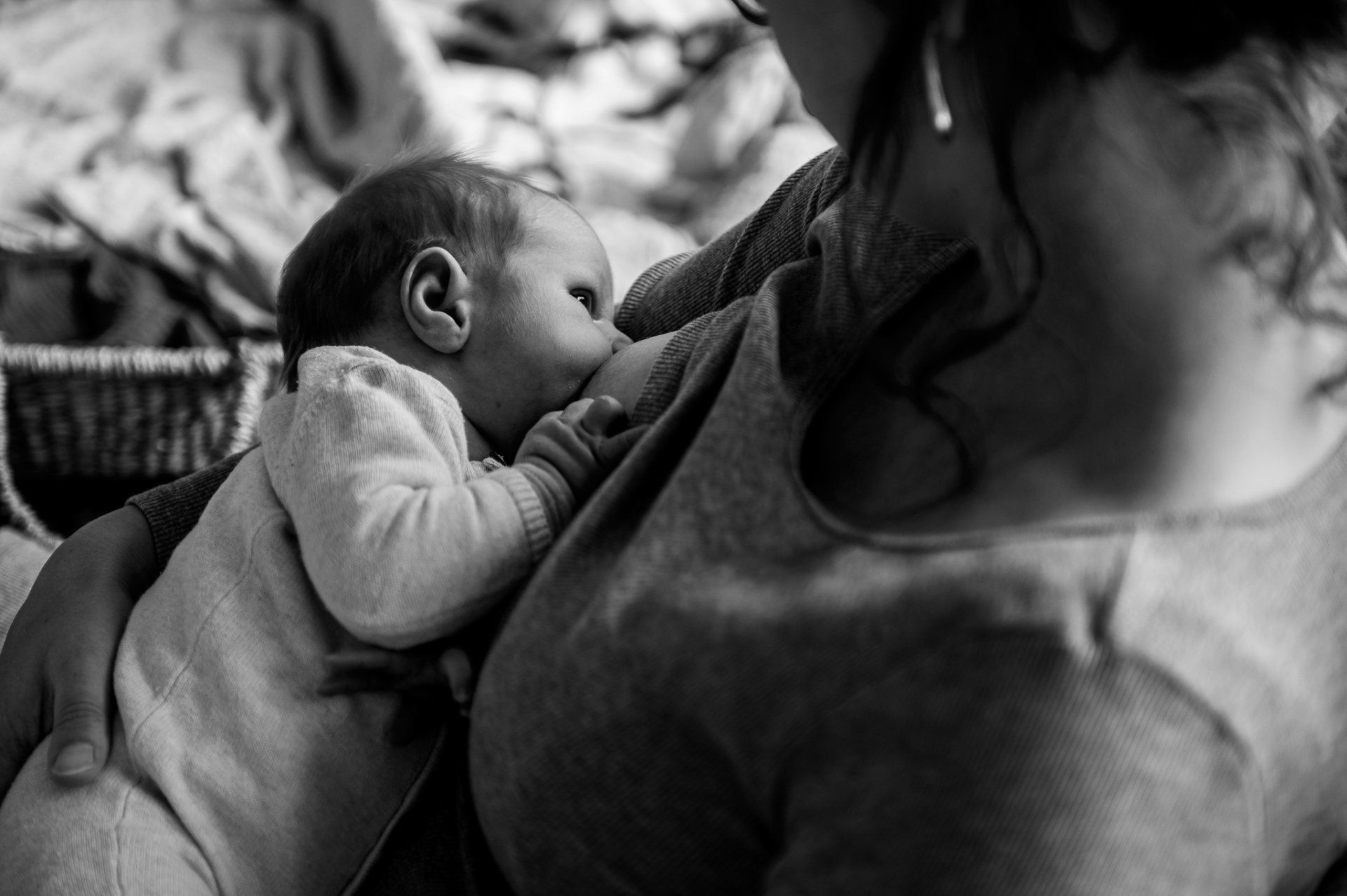 Baby die drinkt aan de borst van een ouder. Zwart-witfoto.