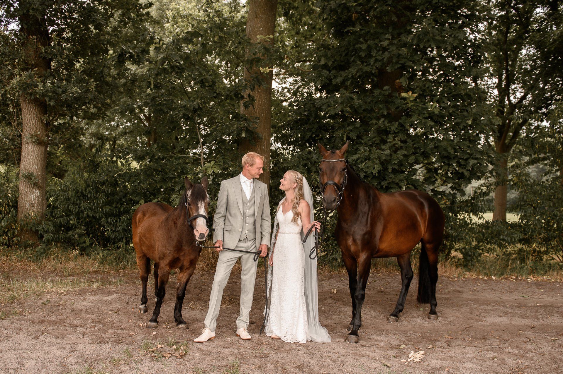 Het pasgetrouwde stel poseert met paarden in een bosrijk gebied; het paar kijkt elkaar diep in de ogen.