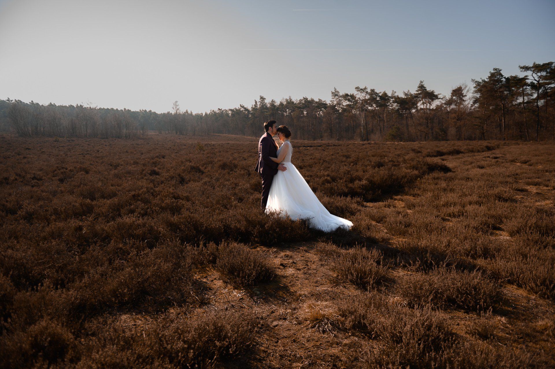 Een bruidspaar omhelst elkaar in een veld, met bomen op de achtergrond, zonnig weer.
