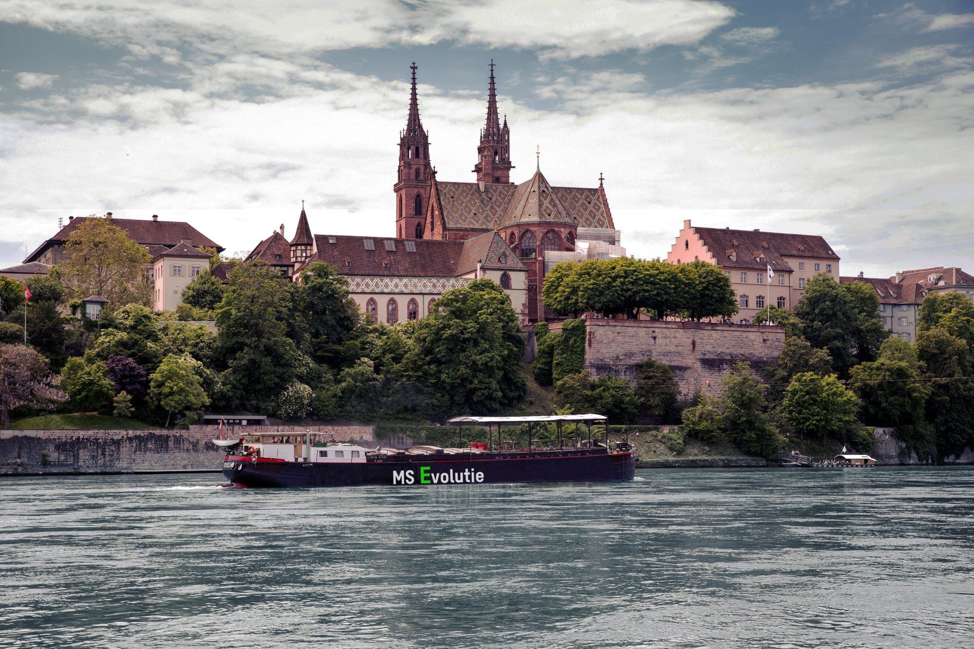 Evolutie und das Münster 