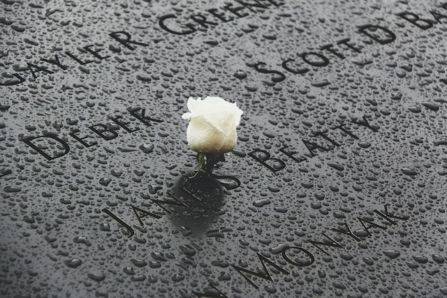 White rose resting on a rain-covered memorial engraved with names, symbolizing remembrance and honor