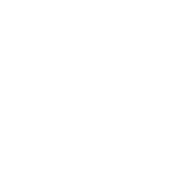 A white background with a few lines on it