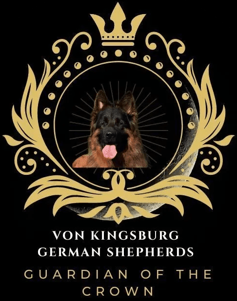 Von Kingsburg Shepherds Von Kingsburg Shepherds