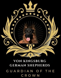 Von Kingsburg Shepherds Von Kingsburg Shepherds