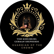 Von Kingsburg Shepherds Von Kingsburg Shepherds