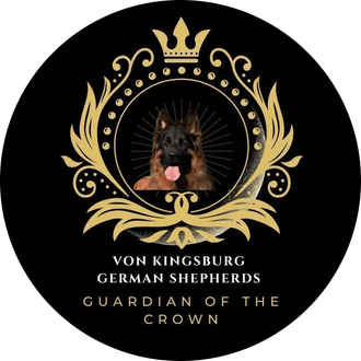 Von Kingsburg Shepherds Von Kingsburg Shepherds