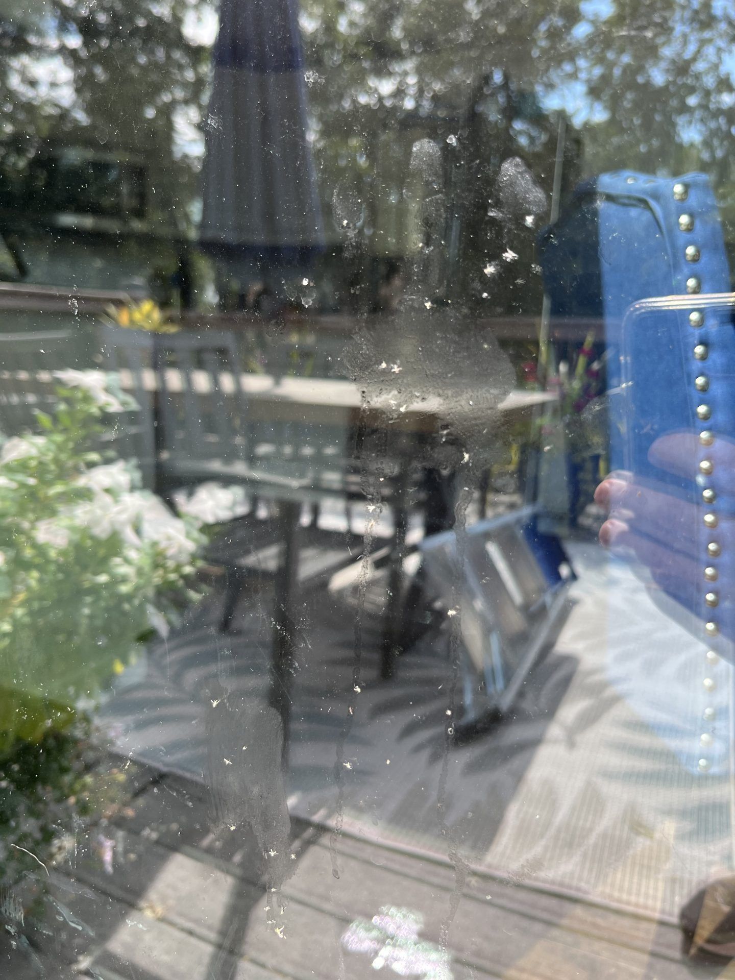 Picture of Window Spots