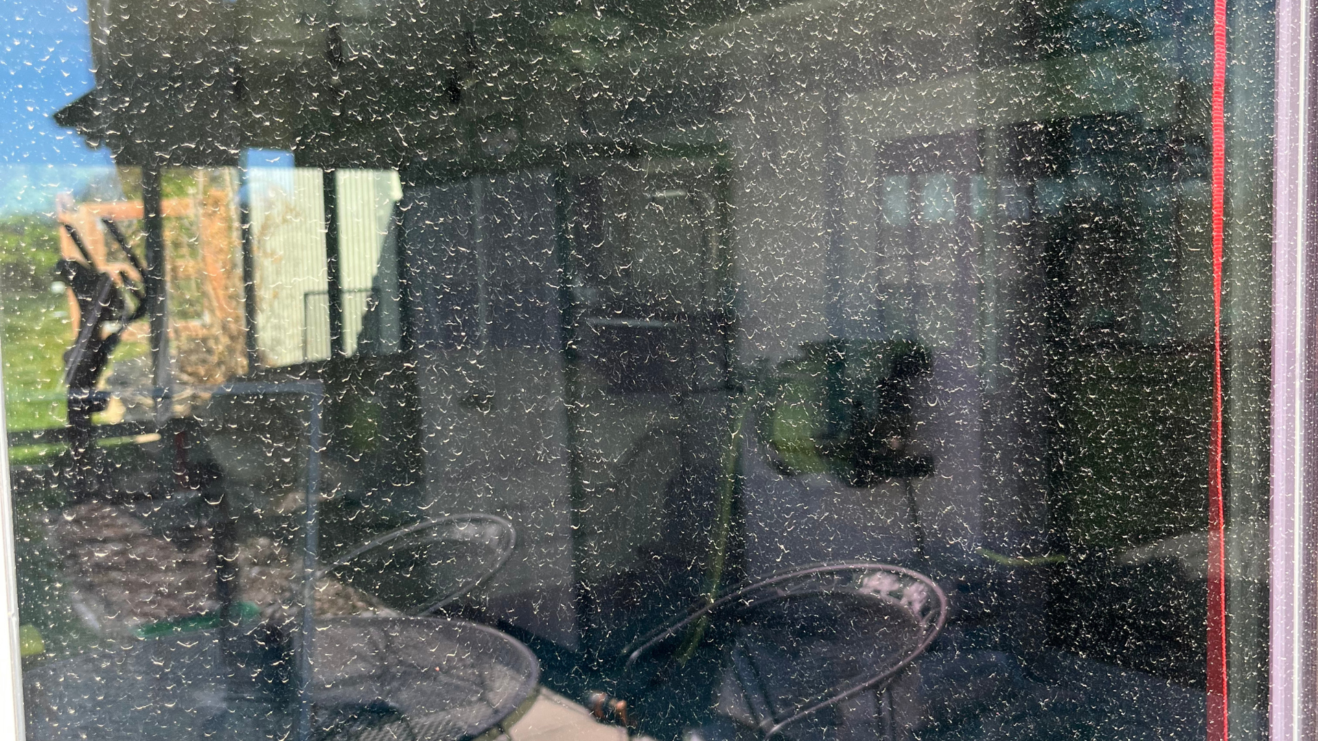 A reflection of a dog in a window of a house.