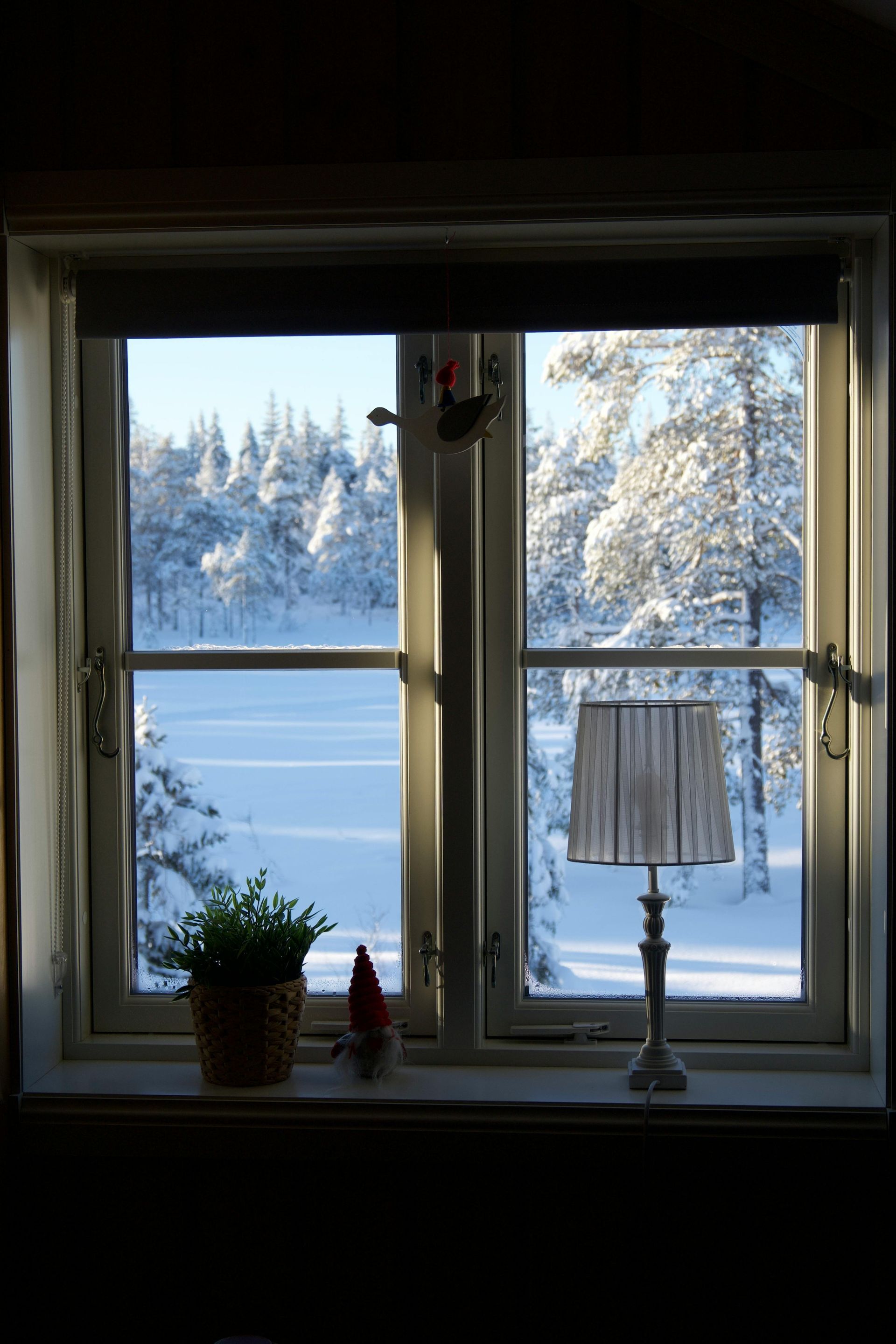 Window looking out at a winter scene