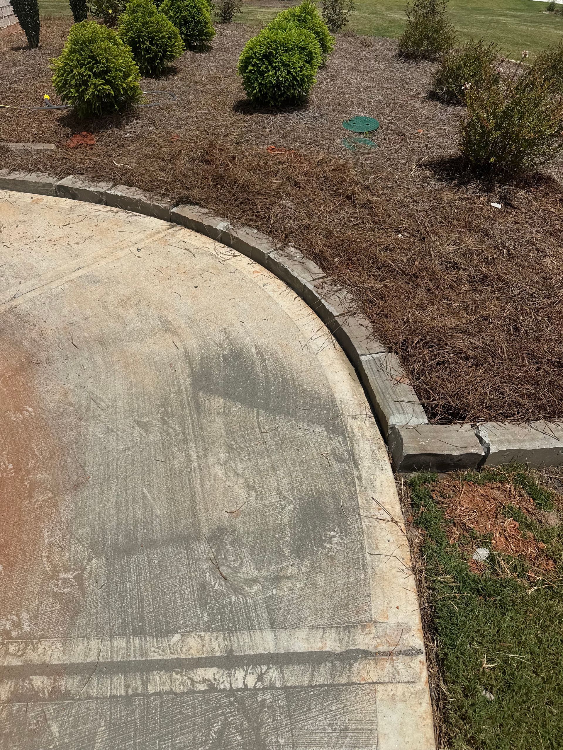 Curved concrete sidewalk beside brown mulch and small green shrubs in a landscaped yard
