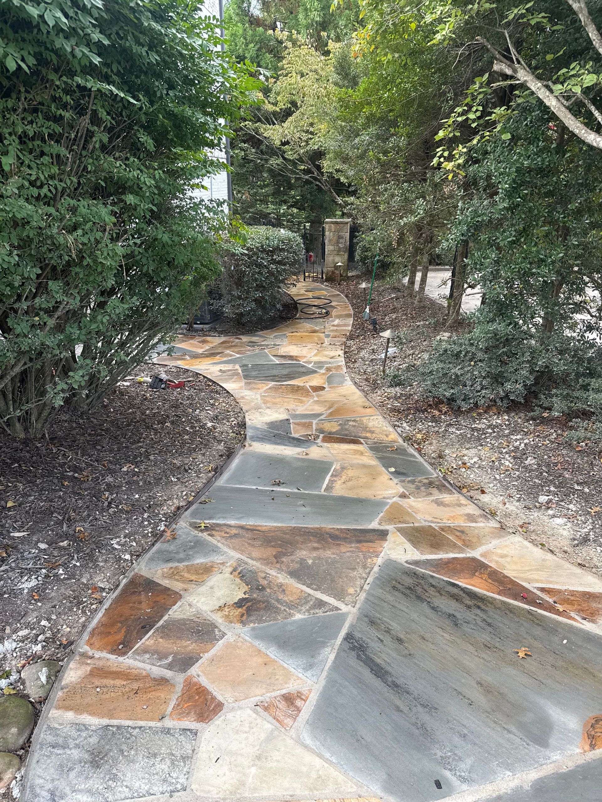 Stone garden path bordered by dense green shrubs, with a small concrete ramp on the right