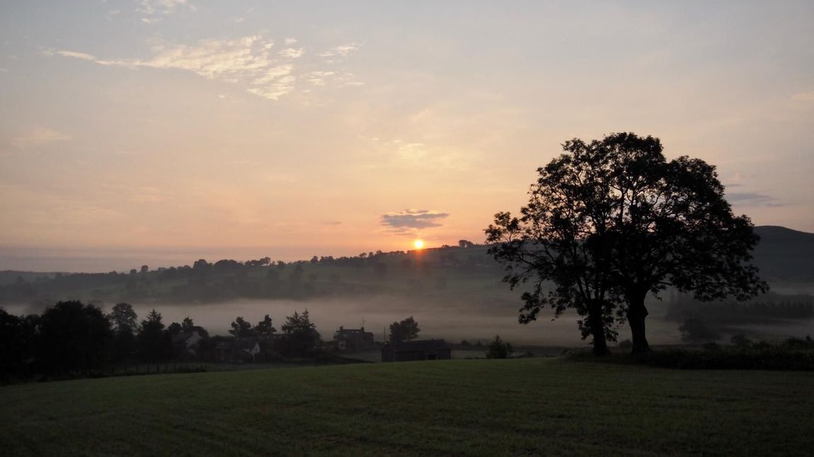 morning mist