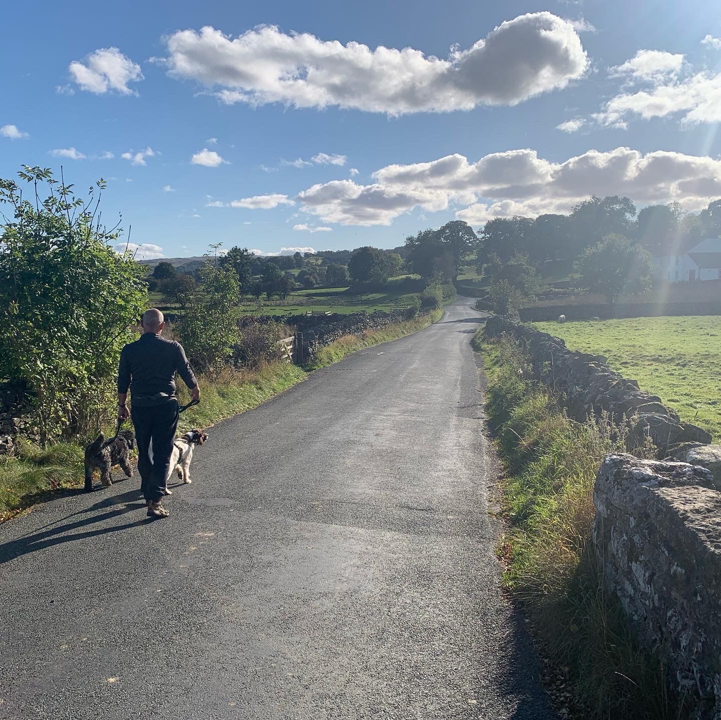 No need for your car - many walks from our doorstep

