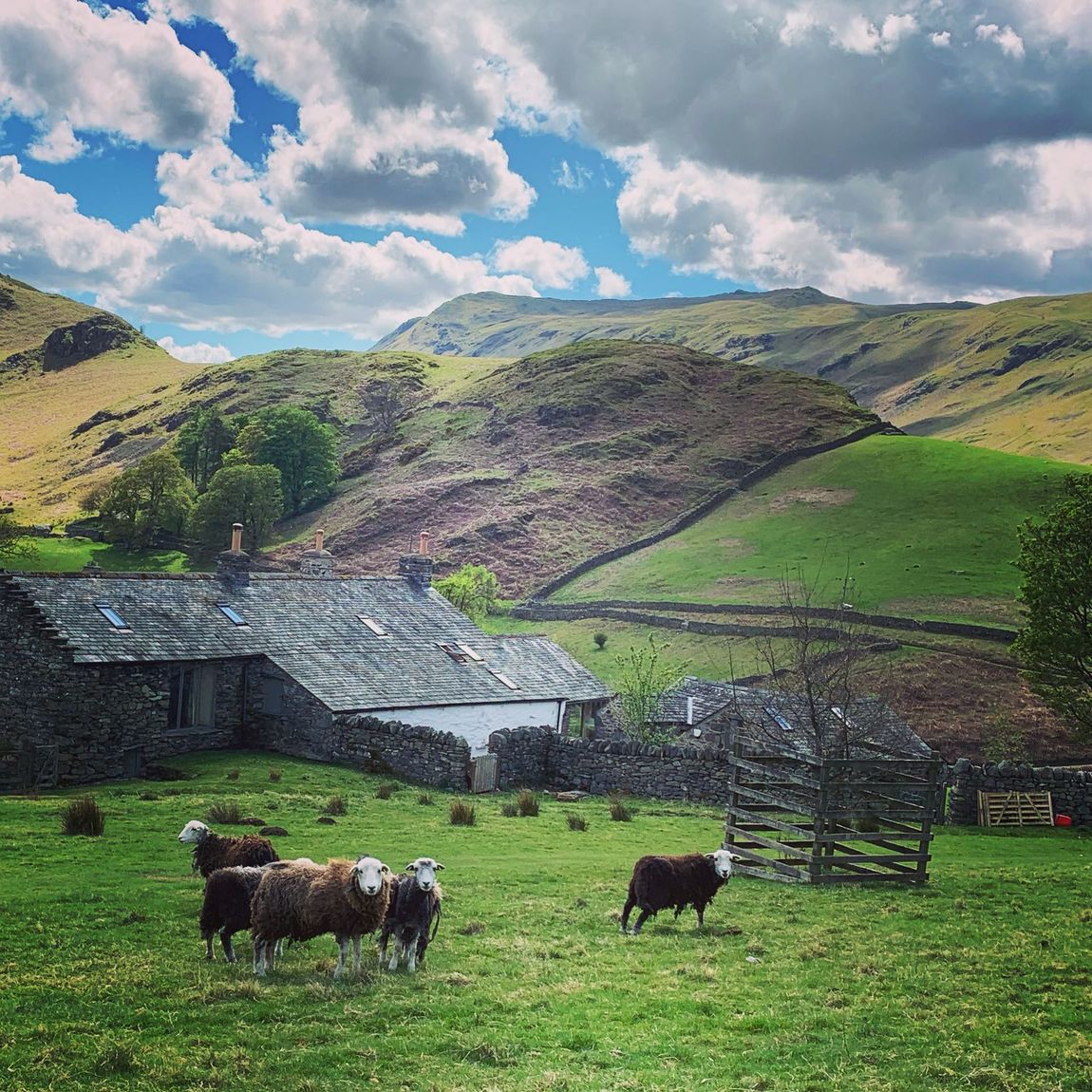 Gorgeous fells to explore