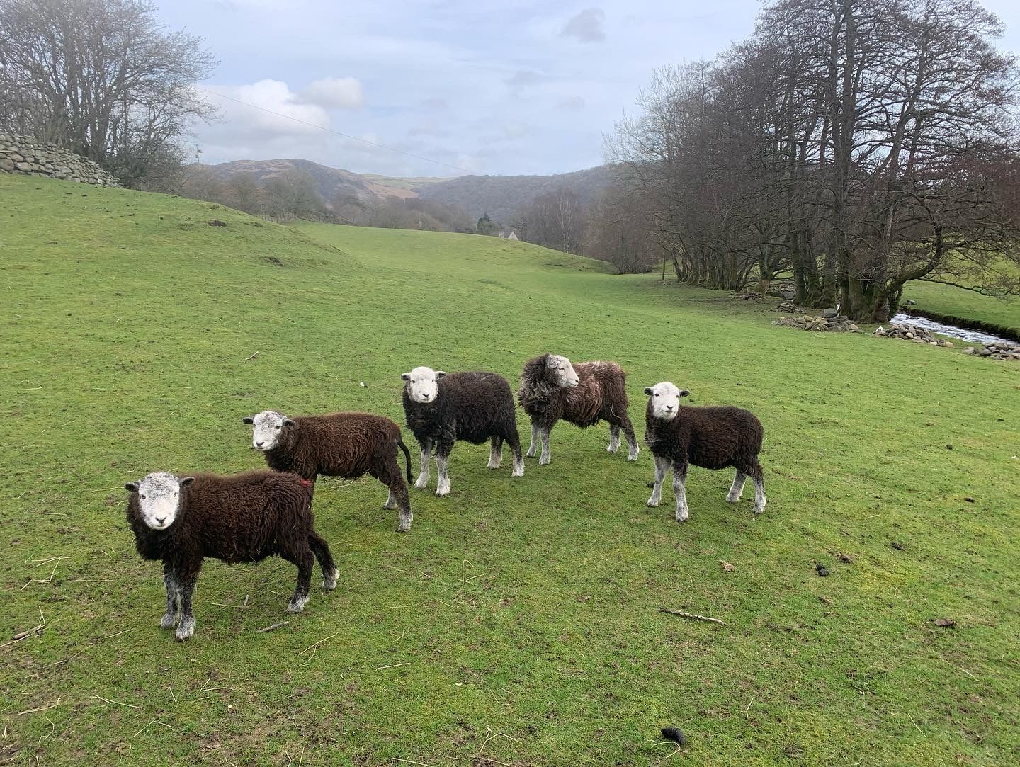 Our neighbours!