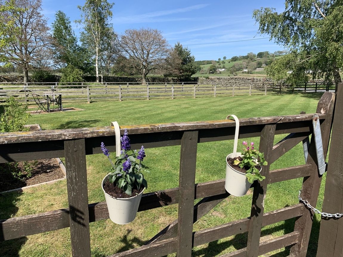 large garden