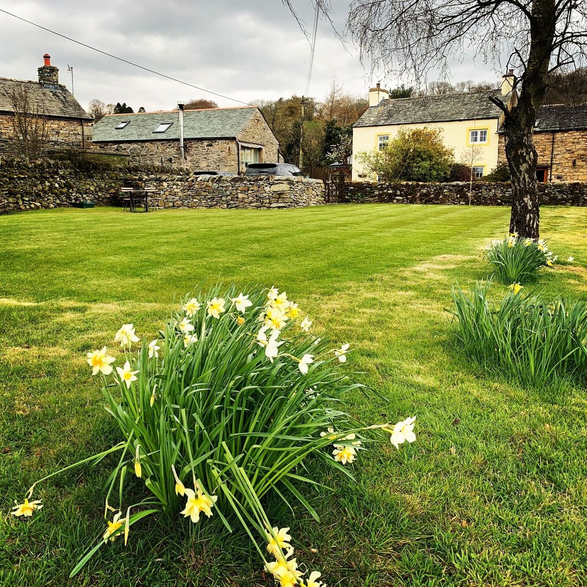 large garden
