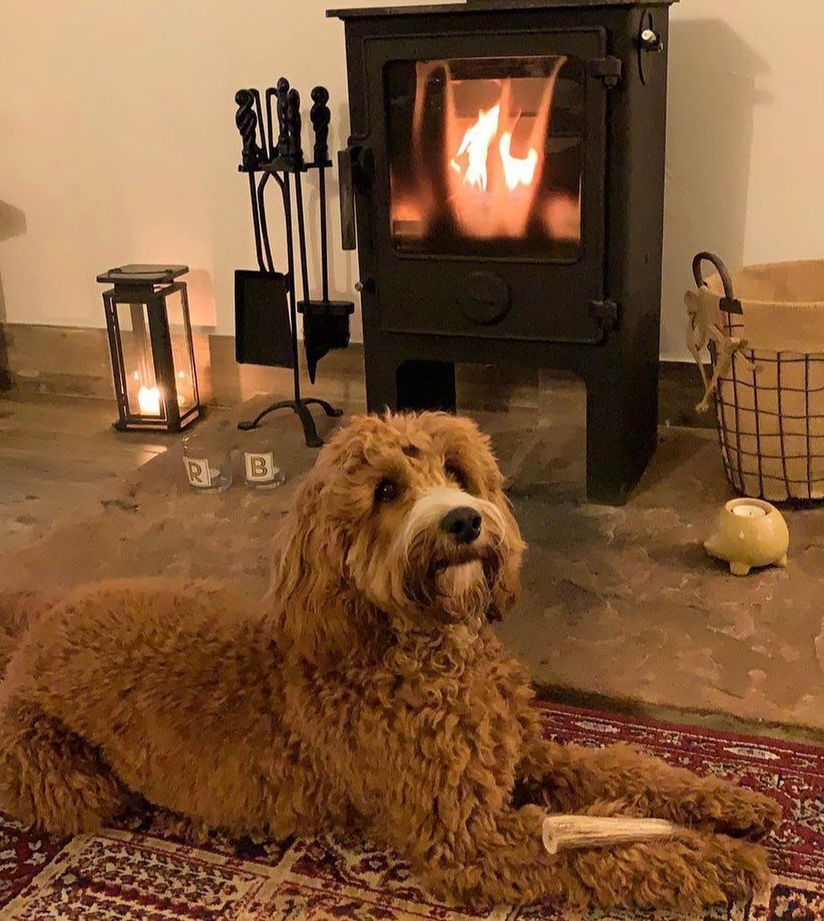 log burner