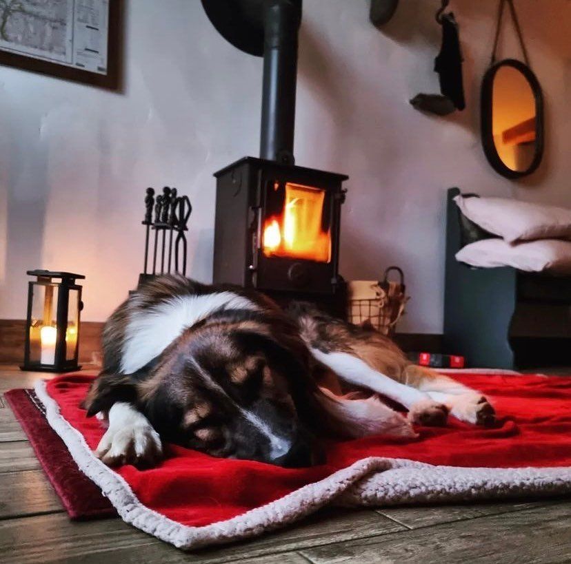 log burner