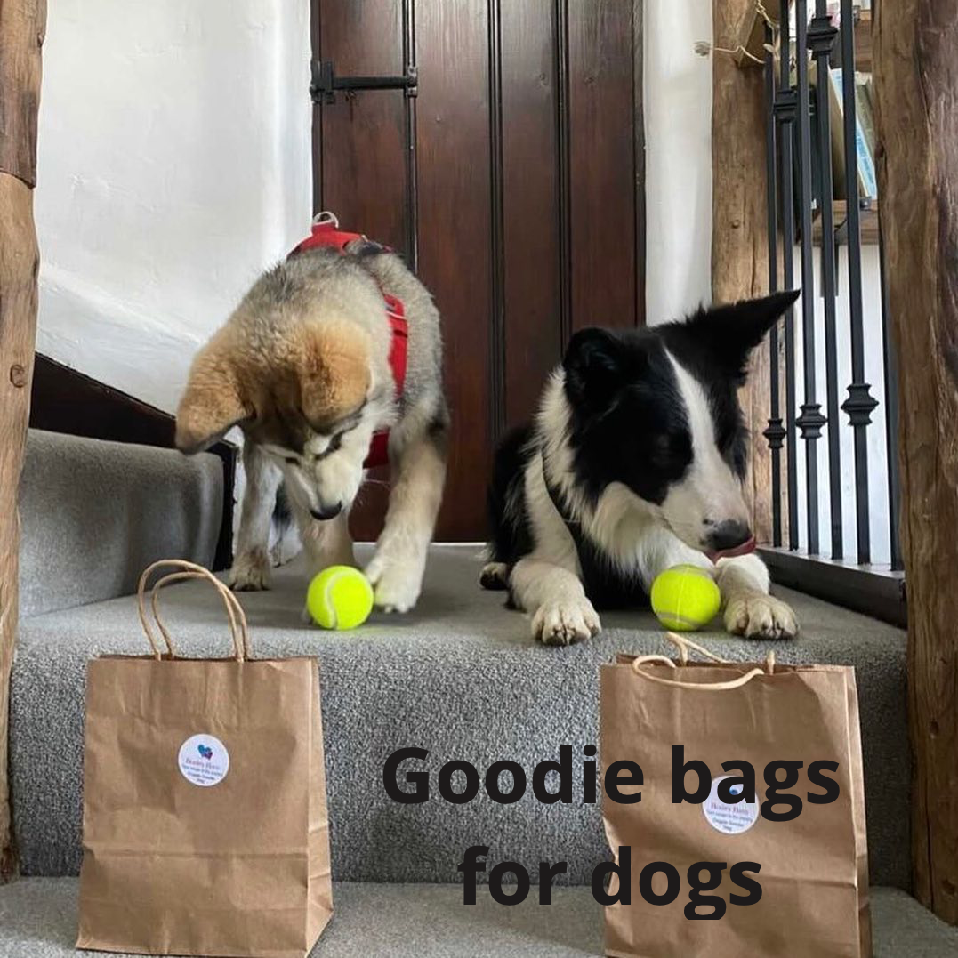 Dogs very welcome