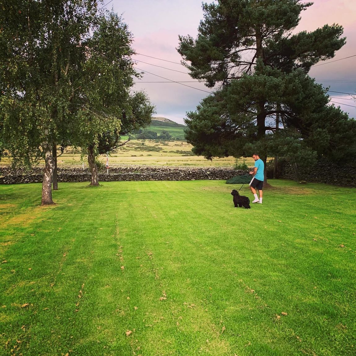 large garden