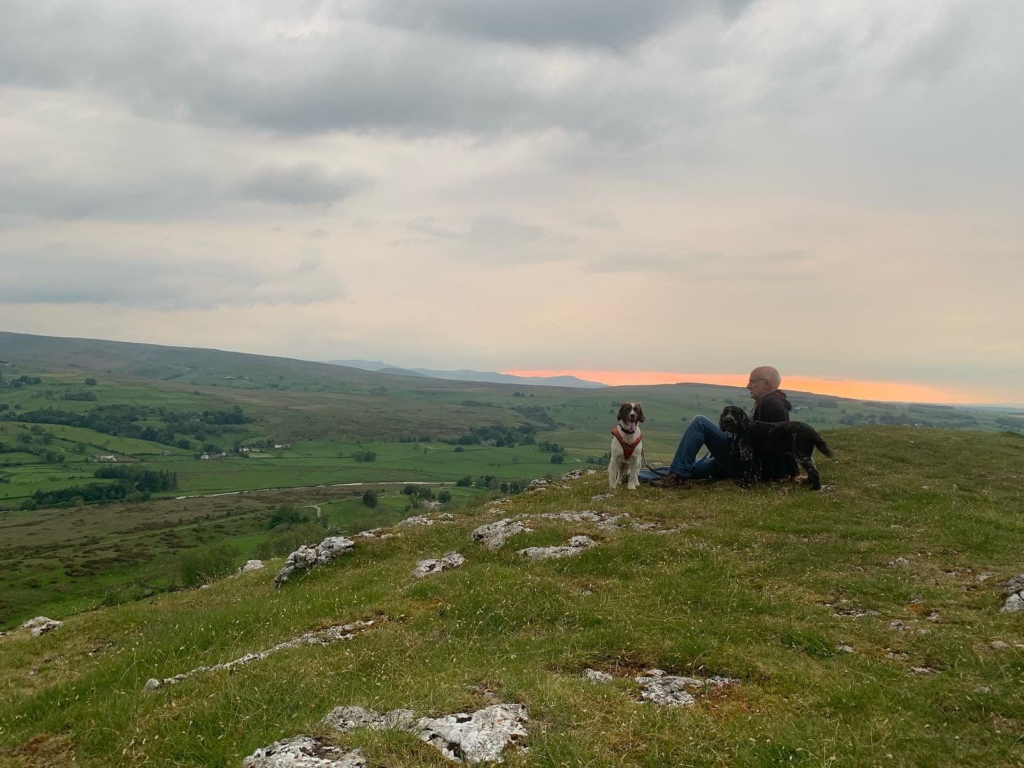 Perfect walks with your dog