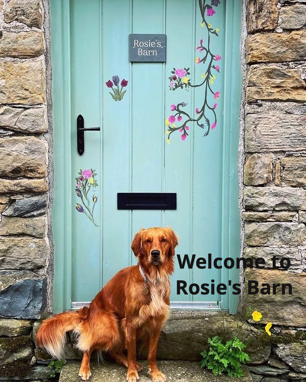 A warm welcome from the start