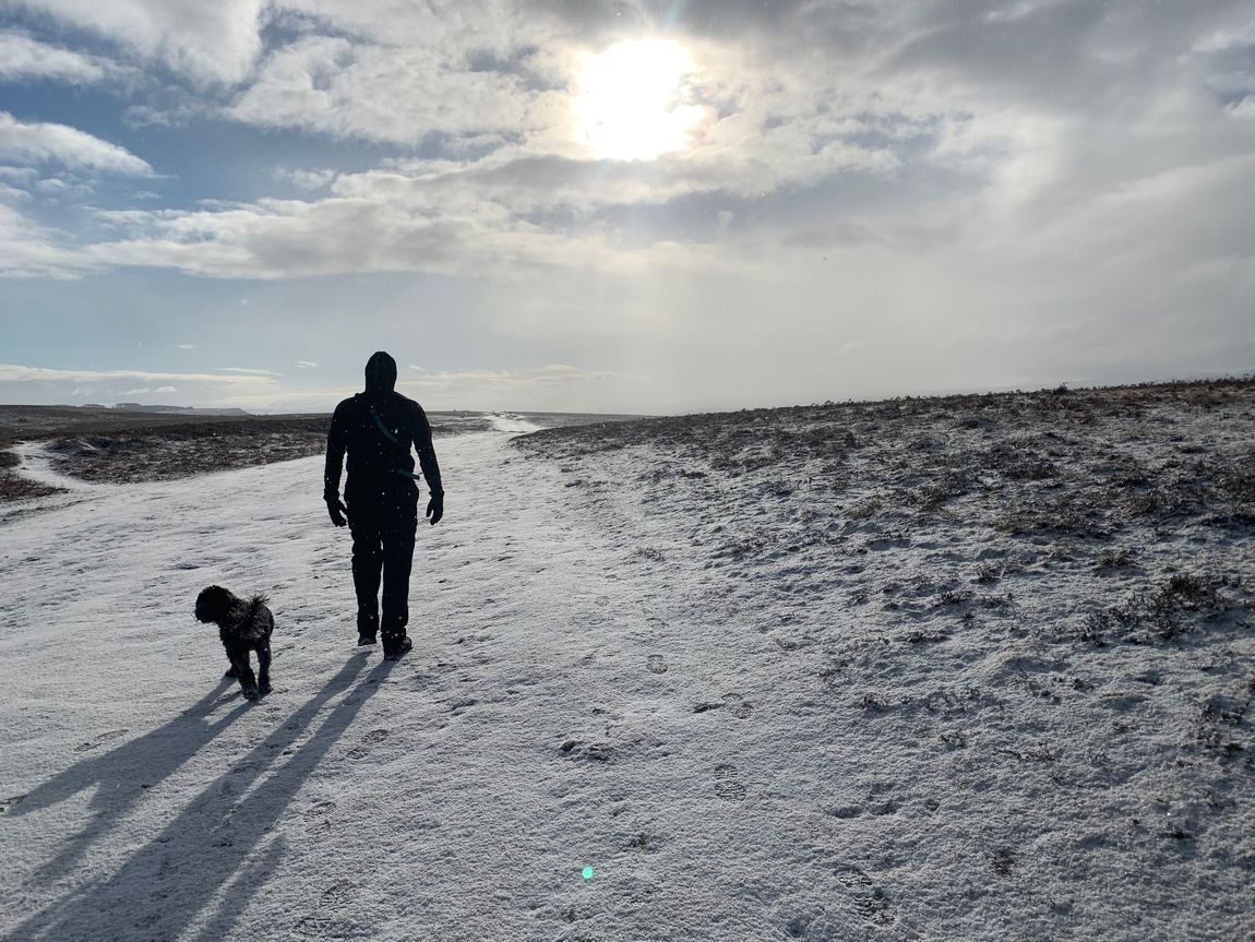 Perfect walks no matter what the weather