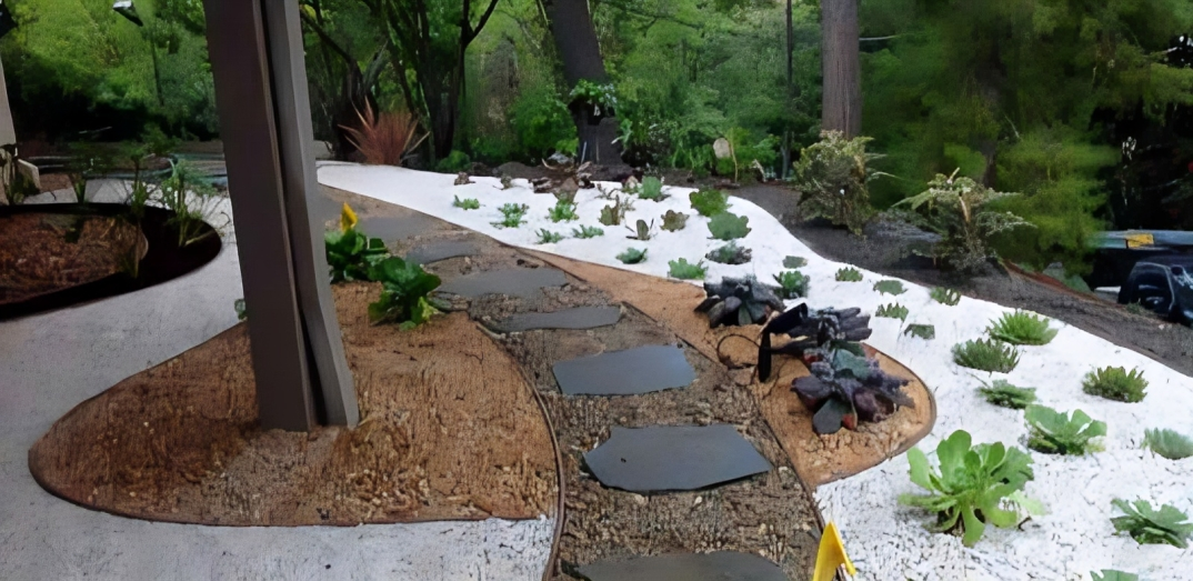 There is a path in the middle of the garden.