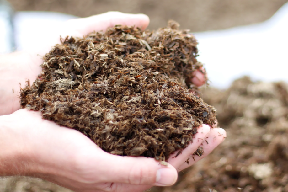 A person is holding a pile of dirt in their hands.